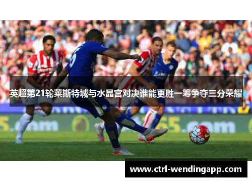 英超第21轮莱斯特城与水晶宫对决谁能更胜一筹争夺三分荣耀