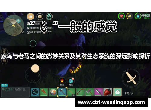 魔鸟与老马之间的微妙关系及其对生态系统的深远影响探析