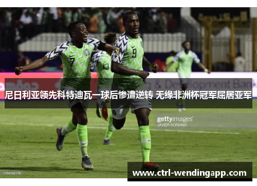 尼日利亚领先科特迪瓦一球后惨遭逆转 无缘非洲杯冠军屈居亚军